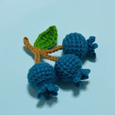 crochet blueberry blue backdrop